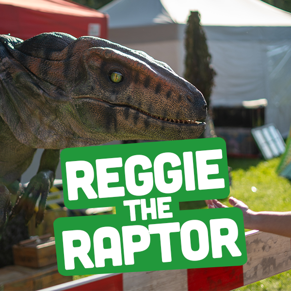 raptor