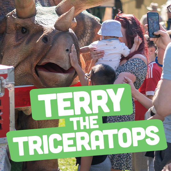 terry